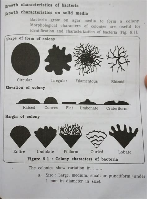 Growth characteristics of bacteria - Morphological characters of ...