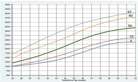 Gestational Age Weight Percentile Chart