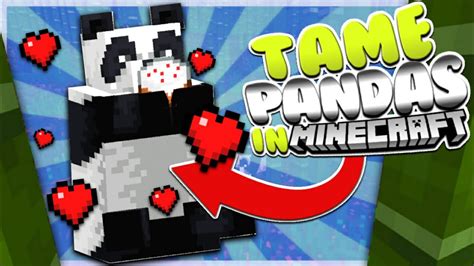 How To TAME PANDAS In Minecraft PE!!! - YouTube