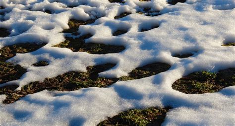 How to Protect Your Home from Melting Snow - Park Insurance