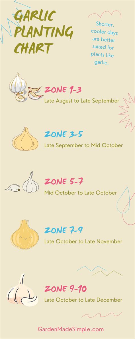 Growing Your Store-Bought Garlic: All You Need to Know - Garden Made Simple