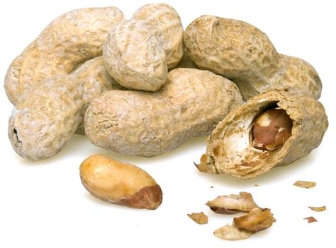 Roasted Peanuts (Salted, In Shell) - By the Pound - Nuts.com