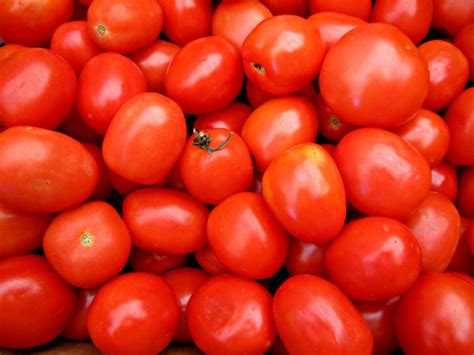 Roma tomatoes | Free stock photos - Rgbstock - Free stock images ...