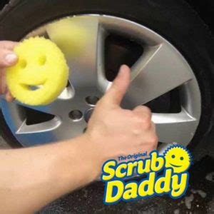 Scrub Daddy Review - Must Read This Before Buying