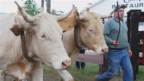 Fryeburg Fair to return this fall | newscentermaine.com