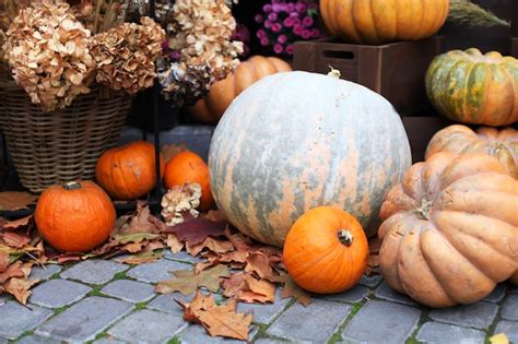 Premium Photo | Pumpkins. decor for the autumn season