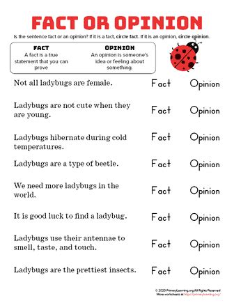 Ladybug - Facts and Opinions | PrimaryLearning.Org