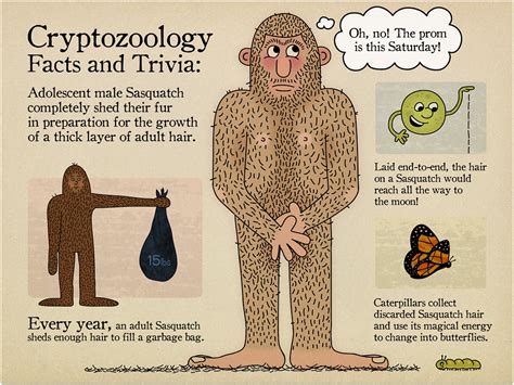 Cryptozoology Facts and Trivia 1 | I've been playing around … | Flickr