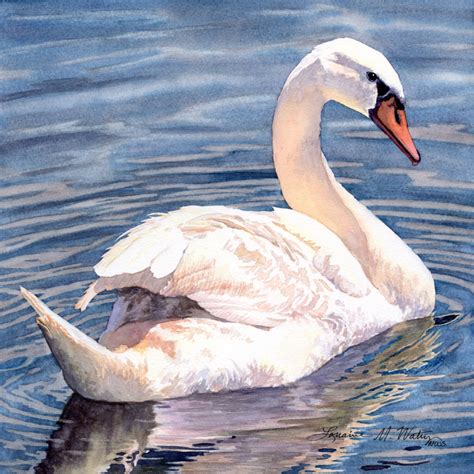 Watercolor - Mute Swan by Lorraine Watry — Lorraine Watry Studio