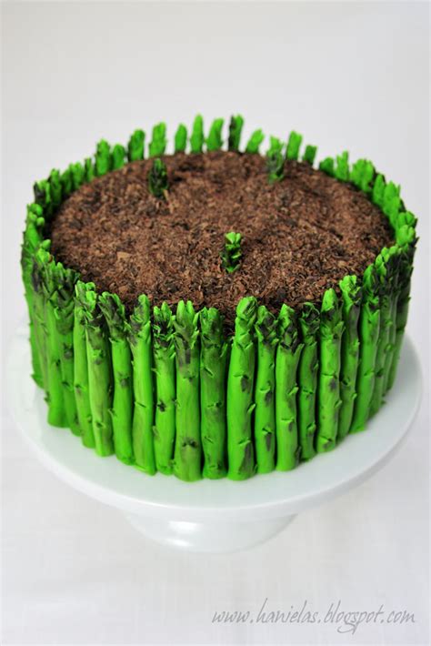 Haniela's: ~Asparagus Cake - Detailed Tutorial~