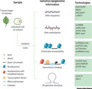 Review Single-cell genomics and epigenomics: Technologies and ...