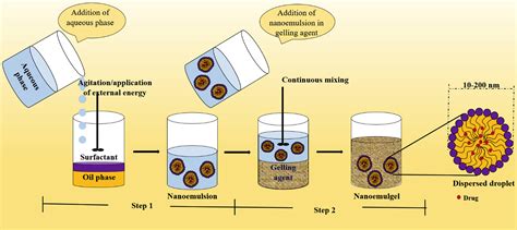 Recent Update on Nanoemulgel as Topical Drug Delivery System - Journal of Pharmaceutical Sciences