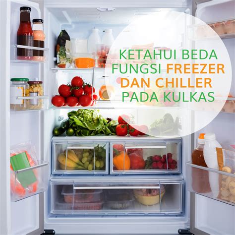 KETAHUI PERBEDAAN FUNGSI FREEZER DAN CHILLER PADA KULKAS – So Good