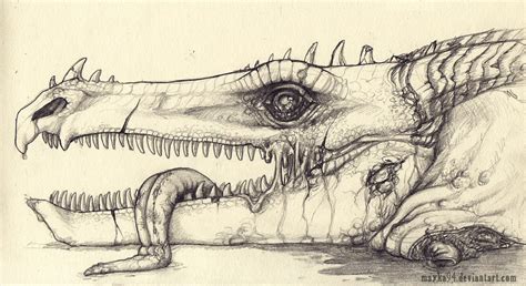 Dead dragons head by Mayka94 on DeviantArt