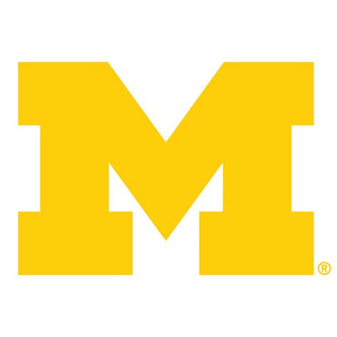 University of Michigan Wolverines Tire Cover