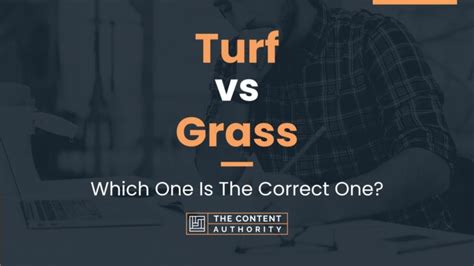 Turf vs Grass: Which One Is The Correct One?