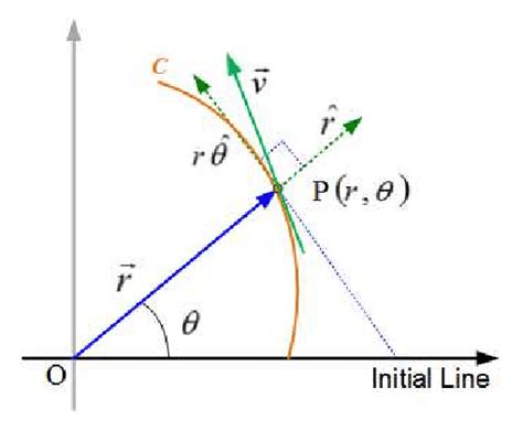 10: Radial and transverse components of velocity | Download Scientific Diagram