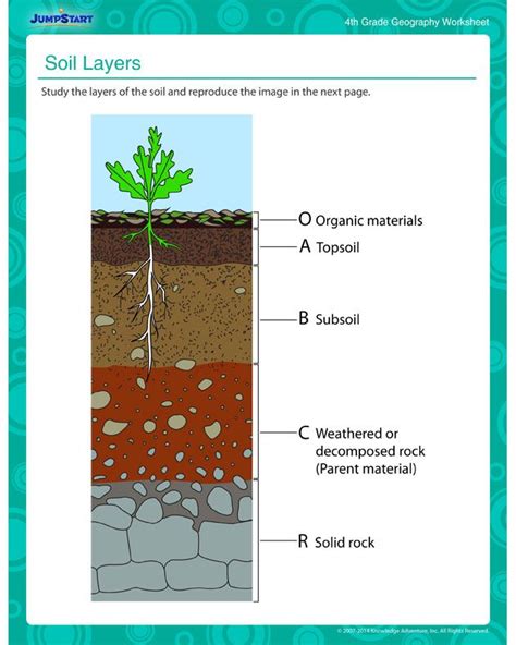 Soil Layers Worksheet - Printable Word Searches