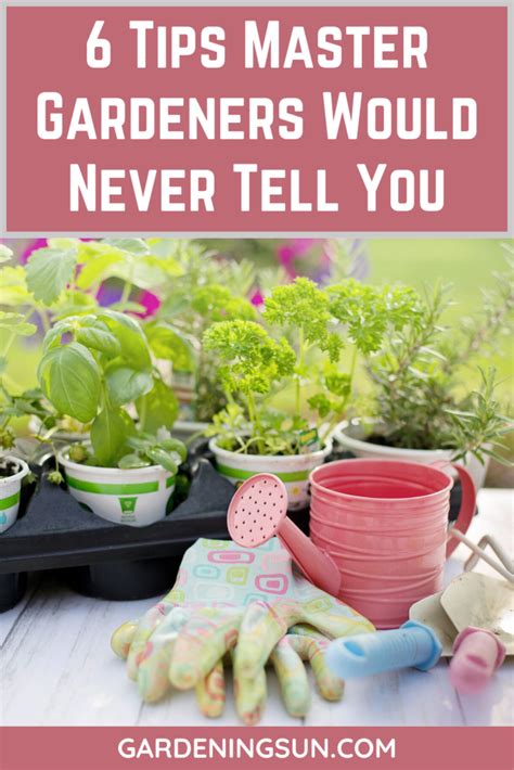 6 Tips Master Gardeners Would Never Tell You - Gardening Sun