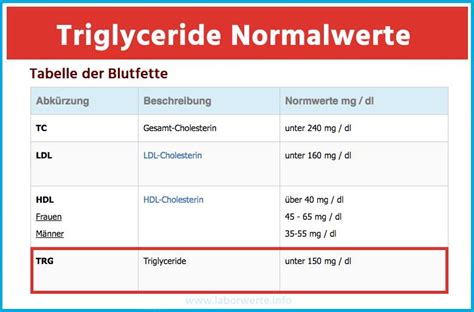 ᐅ Triglyceride sind wichtige Blutfette - einfach & schnell erklärt