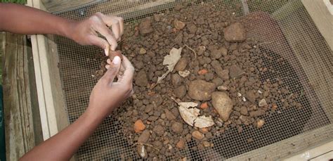 Mount Vernon's Archaeological Methods · George Washington's Mount Vernon