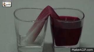 Capillary Effect on Make a GIF