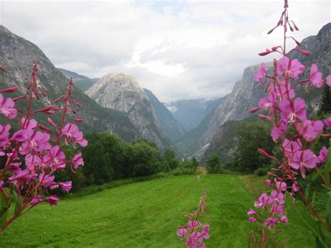 World Travel Gallery: Valley of Flowers in the Himalayas