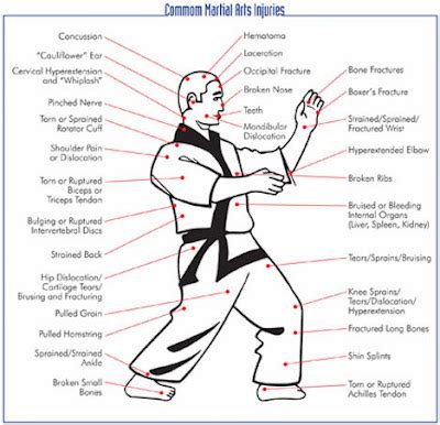 Japanese Jiu Jitsu: A Journey: Injuries in the Martial Arts