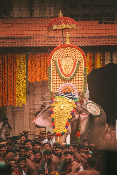 Thrissur pooram 2k19 | Elephant photography, Elephant wallpaper, Elephants photos