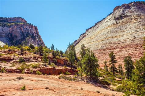 Zion Canyon Scenic Drive stock image. Image of america - 265925473