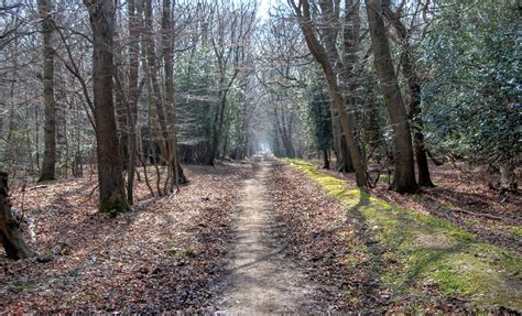 Epping Forest Cycle Route Map - Arlyne Nicolina