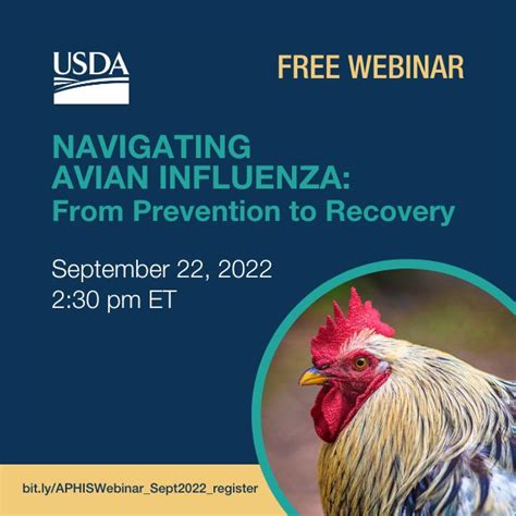 Navigating Avian Influenza: From Prevention to Recovery