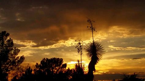 New Mexico sunset | Sunset, New mexico, Mexico