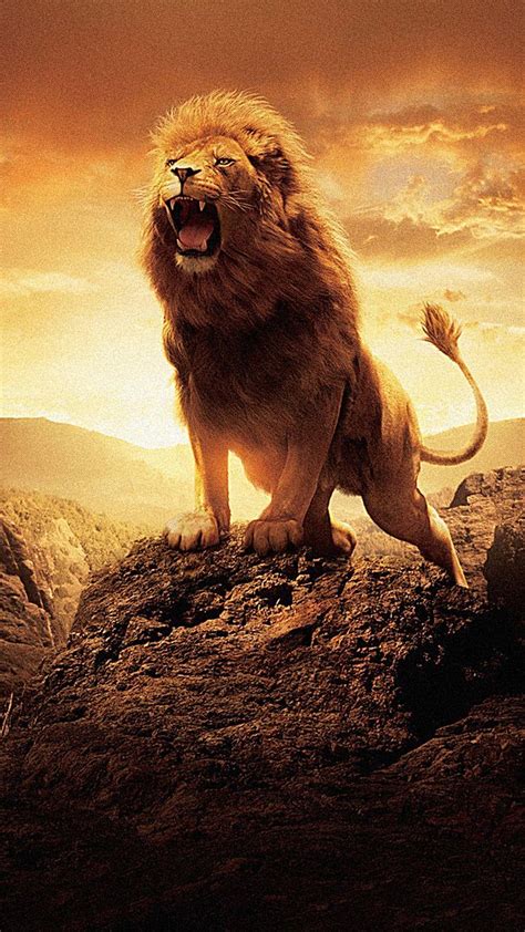 Lions H5 Background | Lion images, Lion pictures, Narnia lion