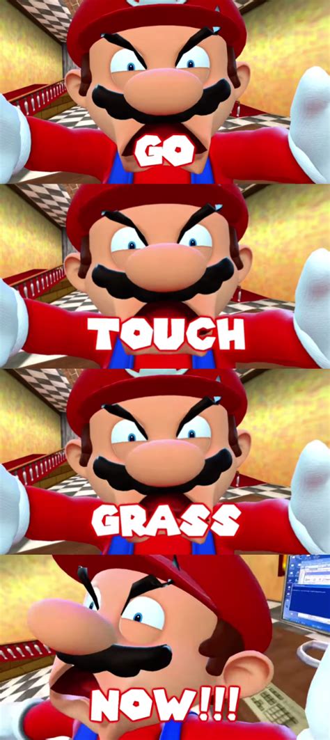 SMG4 Mario's quote - GO TOUCH GRASS NOW!!! by jessecota1738 on DeviantArt