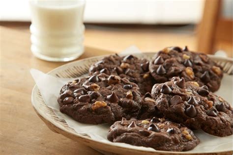 The Best Hershey Cocoa Recipes | Double chocolate chip cookie recipe, Cookies recipes chocolate ...