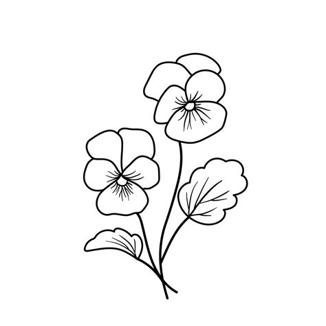 Violet flower. Outline vector plant isolated on white 16023310 Vector ...