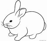 Rabbits Coloring Pages  sketch template