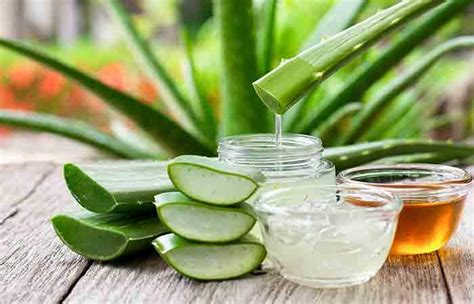 Aloe Vera For Acne: 9 Ways To Use Aloe Vera For Pimples