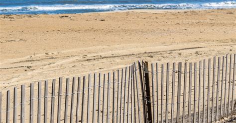 Sand Fence Installation Guidelines | City of Virginia Beach