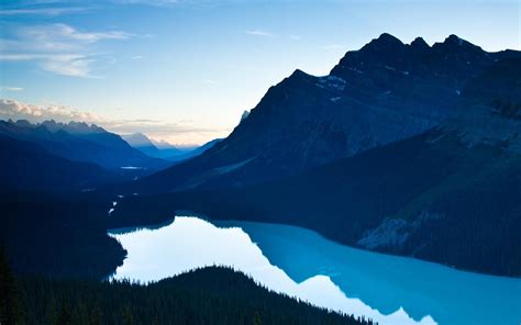 Peyto lake, Banff National Park wallpaper | nature and landscape | Wallpaper Better