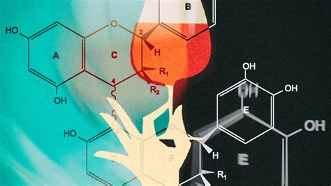 The Science of Tannins in Wine | SevenFifty Daily