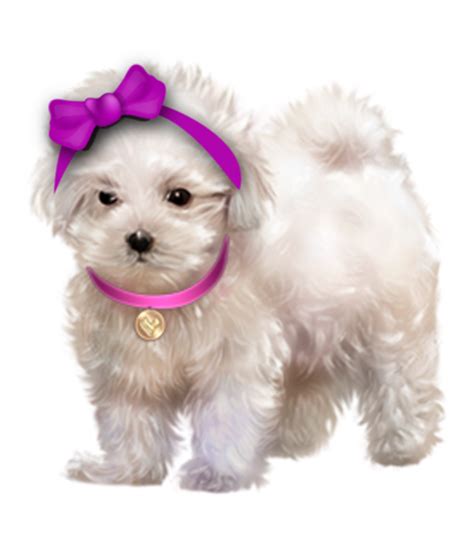tube chien,scrap,png,dog,puppies,wallpapers,dessin,psp