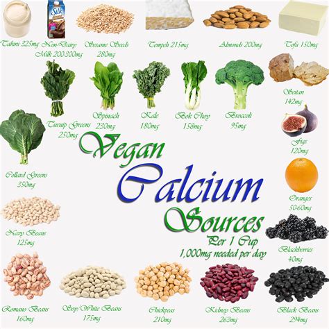 Where Do Vegans Get Their Calcium? | Ater Imber