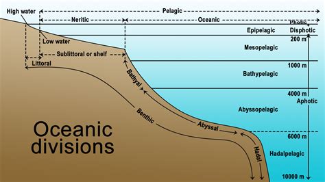 Marine Ecosystem Zones