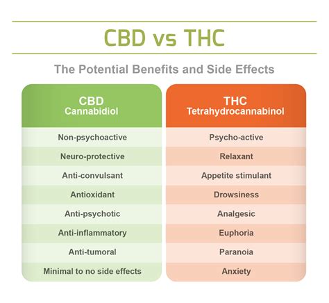 CBD vs THC: Ποιες είναι οι διαφορές ανάμεσα στις δύο ουσίες;