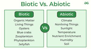 What are the Biotic and Abiotic resources? - GeeksforGeeks