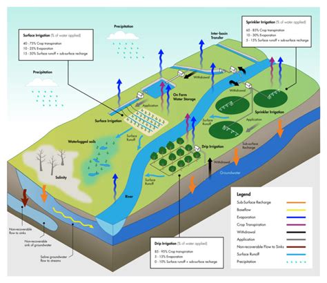 Confronting the paradox of irrigation efficiency – Atlas of Science