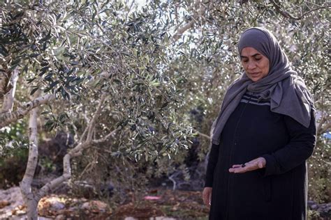 Israeli settlers vandalise Palestinian farms, olive trees in Nablus – Middle East Monitor
