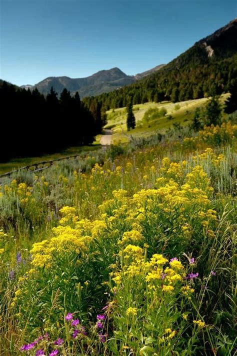 Gallatin National Forest Has Something for Everyone